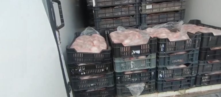 Több mint két tonna romlott húst fogtak egy teherautóban az M5-ösön