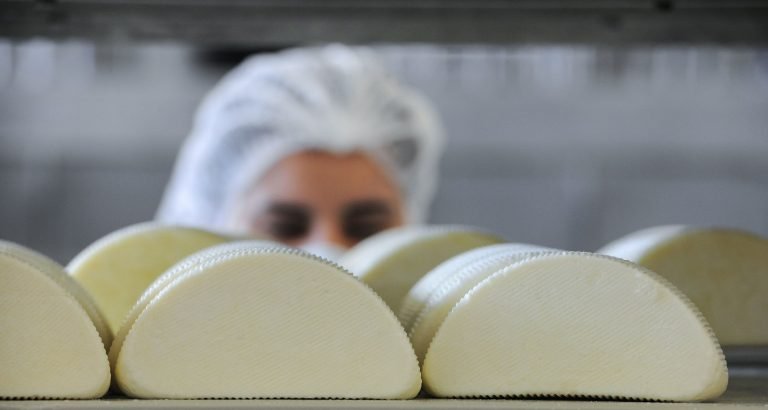 Az egész világot meghódítják a Hajdú sajtok