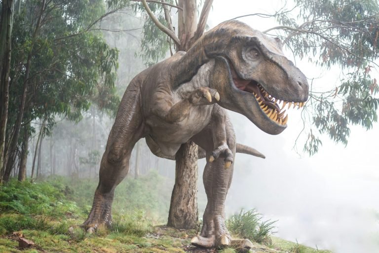 Mégsem volt olyan okos a T. rex? Meglepő felfedezésre jutottak a kutatók