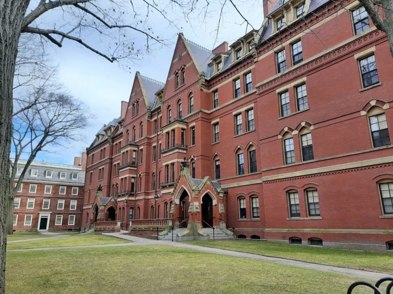 Ösztöndíjjal jutott be a Harvardra egy budapesti gimnázium tanulója
