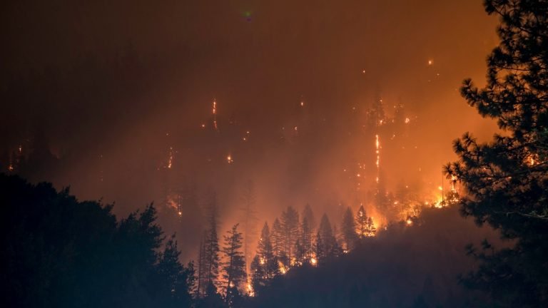 Videón, ahogy erdőtűzön, lángok között halad át egy vonat