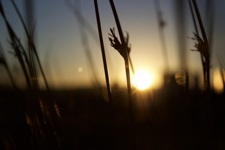 Több napsütésre is van kilátás a mai napon
