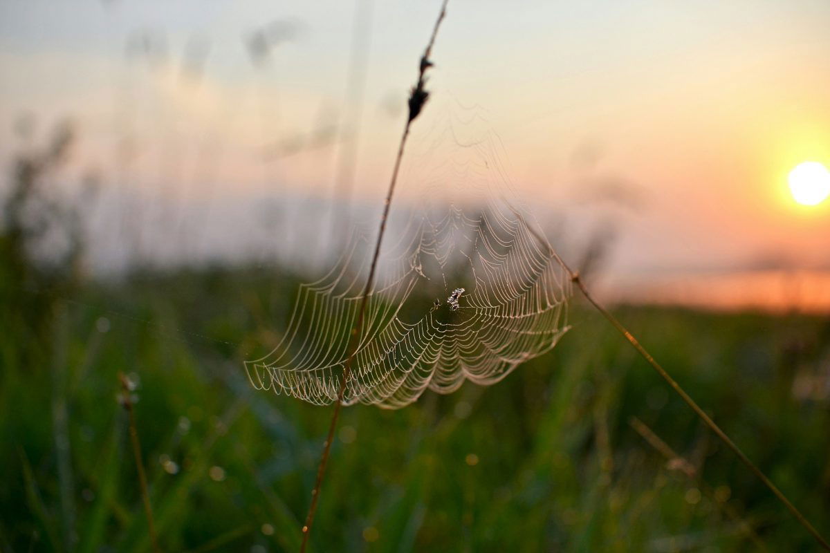 Hűvösen indult a kedd, de ma is nyárias időt kapunk