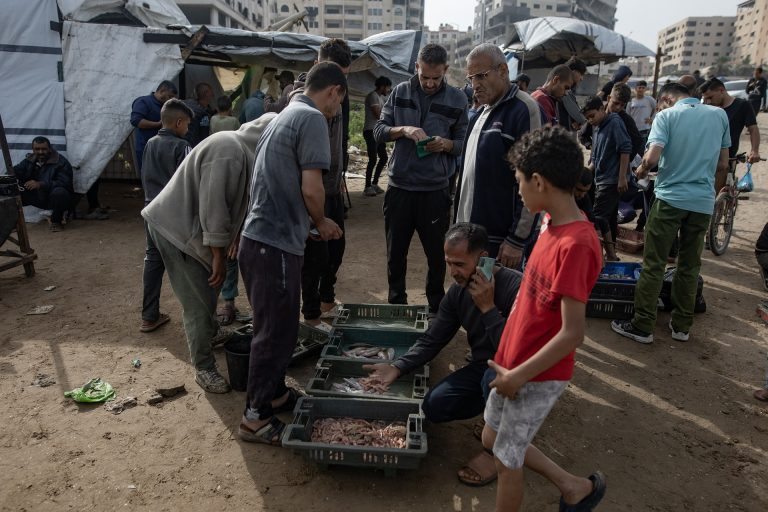 Humanitárius katasztrófa a Gázai övezetben: a teljes lakosságot éhínség fenyegeti